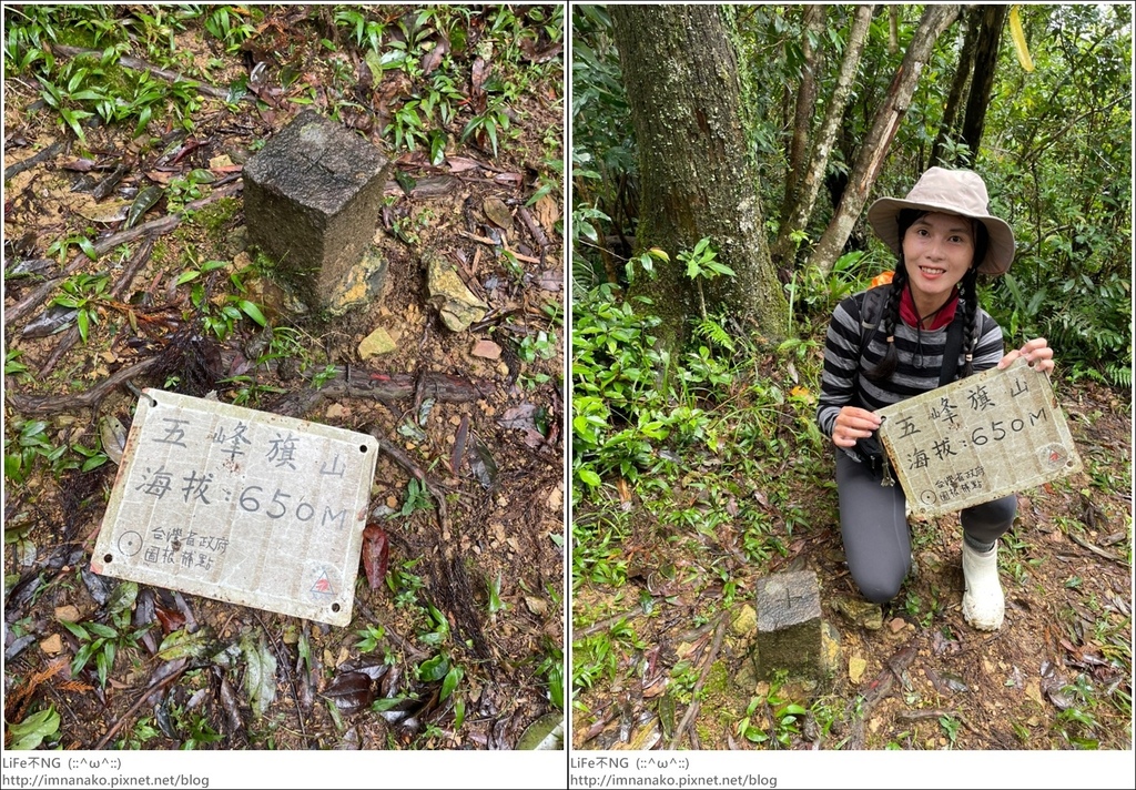 抹茶山_221107_38-tile.jpg 抹茶山_221107_38-tile.jpg