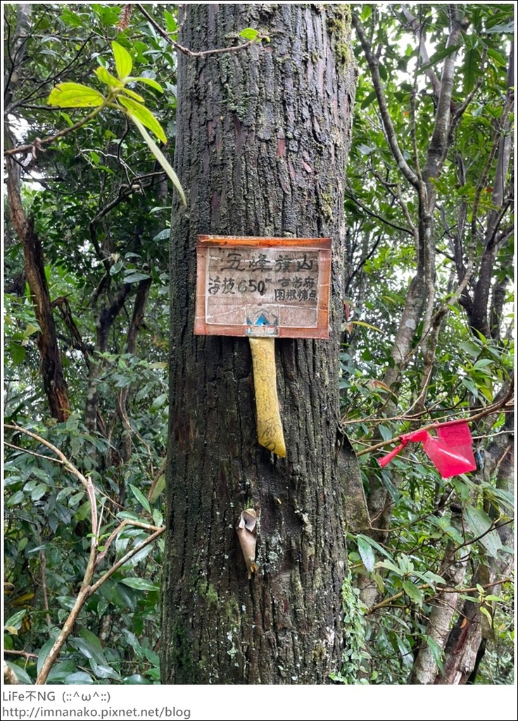 抹茶山_221107_40.jpg 抹茶山_221107_40.jpg