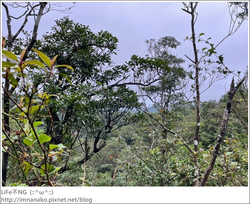 抹茶山_221107_47.jpg 抹茶山_221107_47.jpg