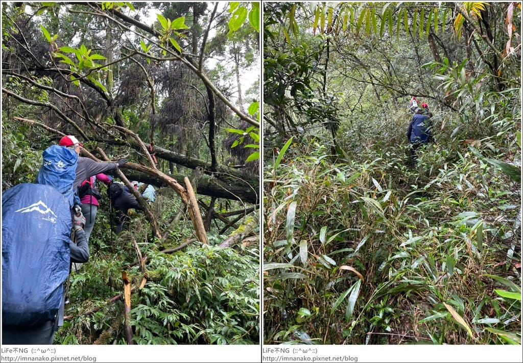 抹茶山_221107_45-tile.jpg 抹茶山_221107_45-tile.jpg