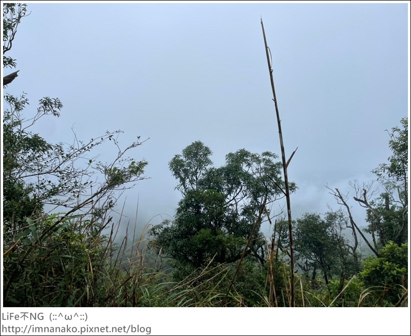 抹茶山_221107_49.jpg 抹茶山_221107_49.jpg