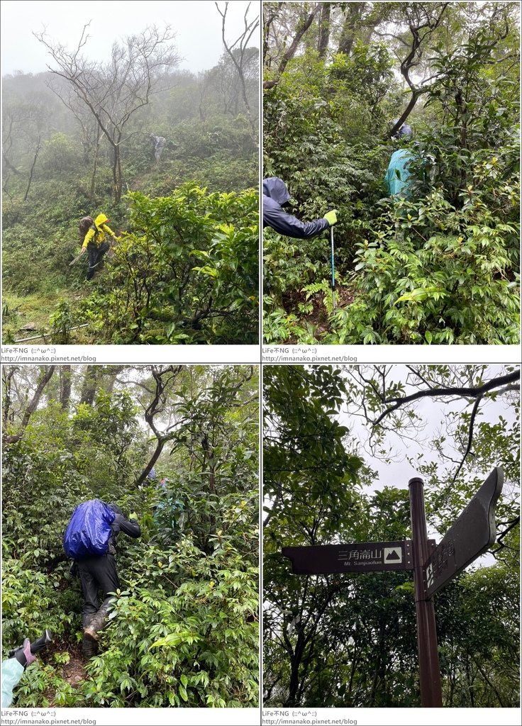 抹茶山_221107_53-tile.jpg 抹茶山_221107_53-tile.jpg