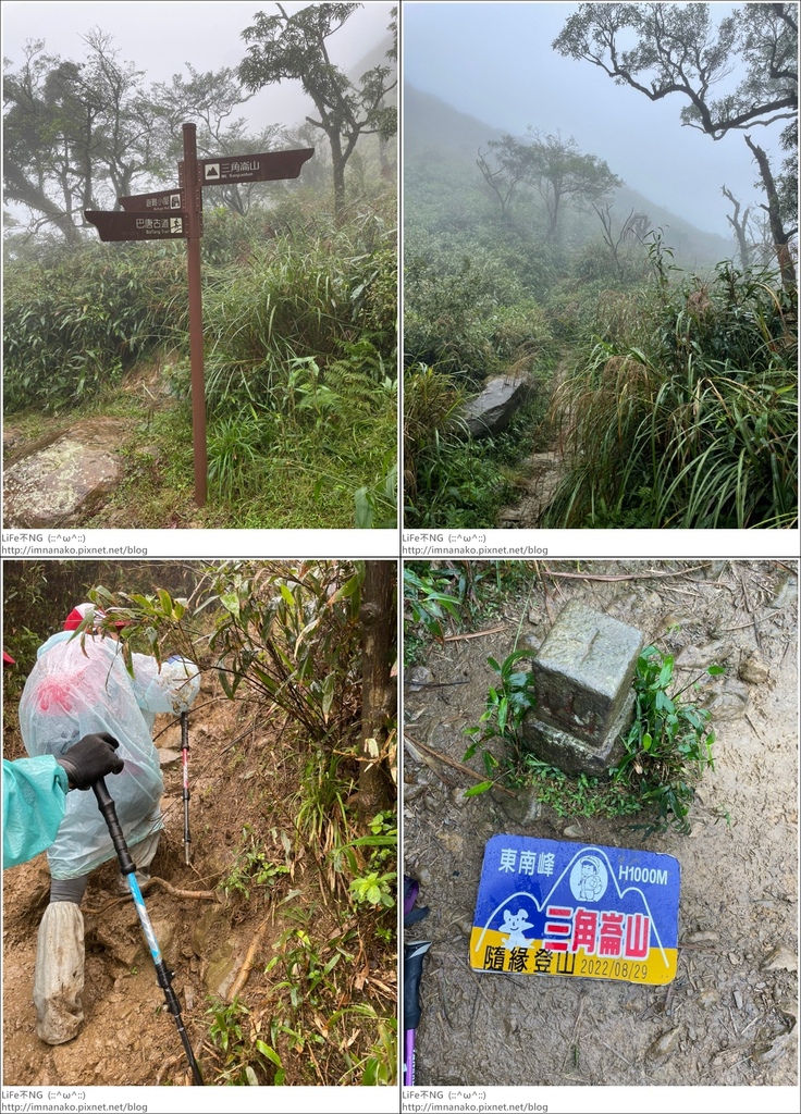 抹茶山_221107_58-tile.jpg 抹茶山_221107_58-tile.jpg