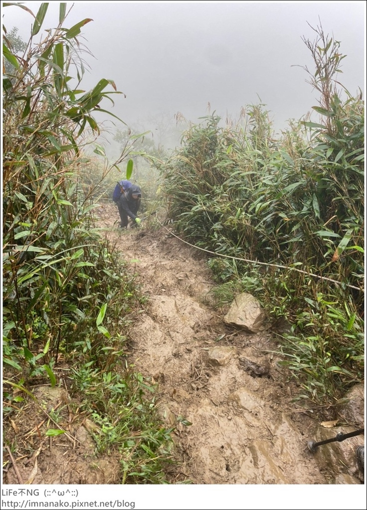 抹茶山_221107_69.jpg 抹茶山_221107_69.jpg