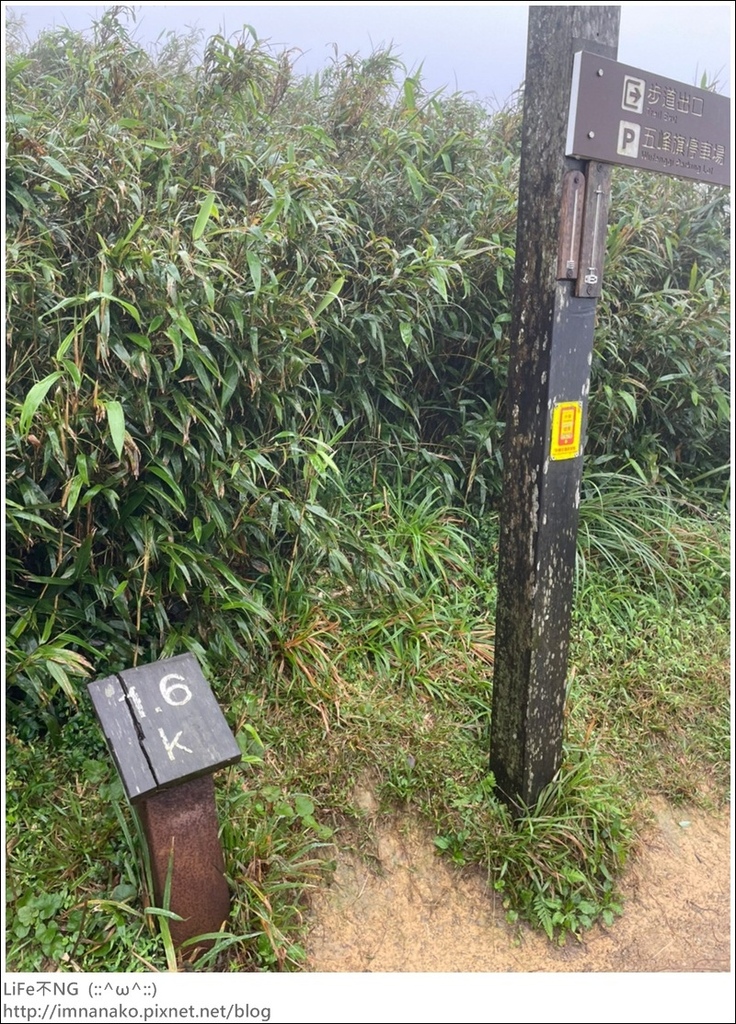 抹茶山_221107_82.jpg 抹茶山_221107_82.jpg