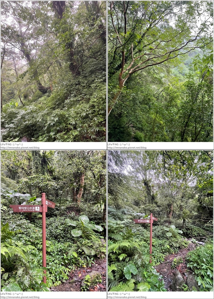 抹茶山_221107_85-tile.jpg 抹茶山_221107_85-tile.jpg