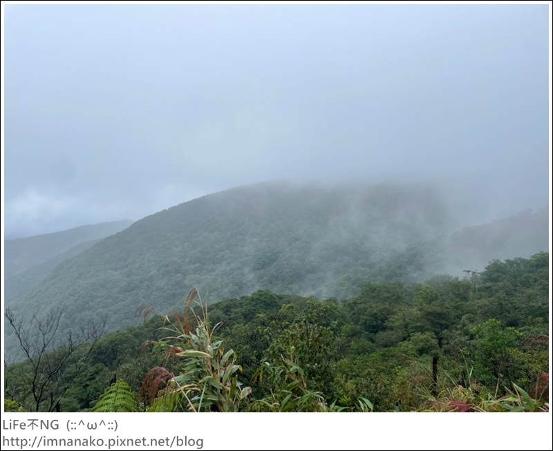 抹茶山_221107_84.jpg 抹茶山_221107_84.jpg