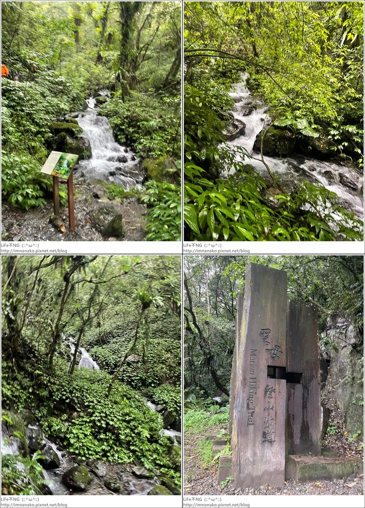 抹茶山_221107_89-tile.jpg 抹茶山_221107_89-tile.jpg