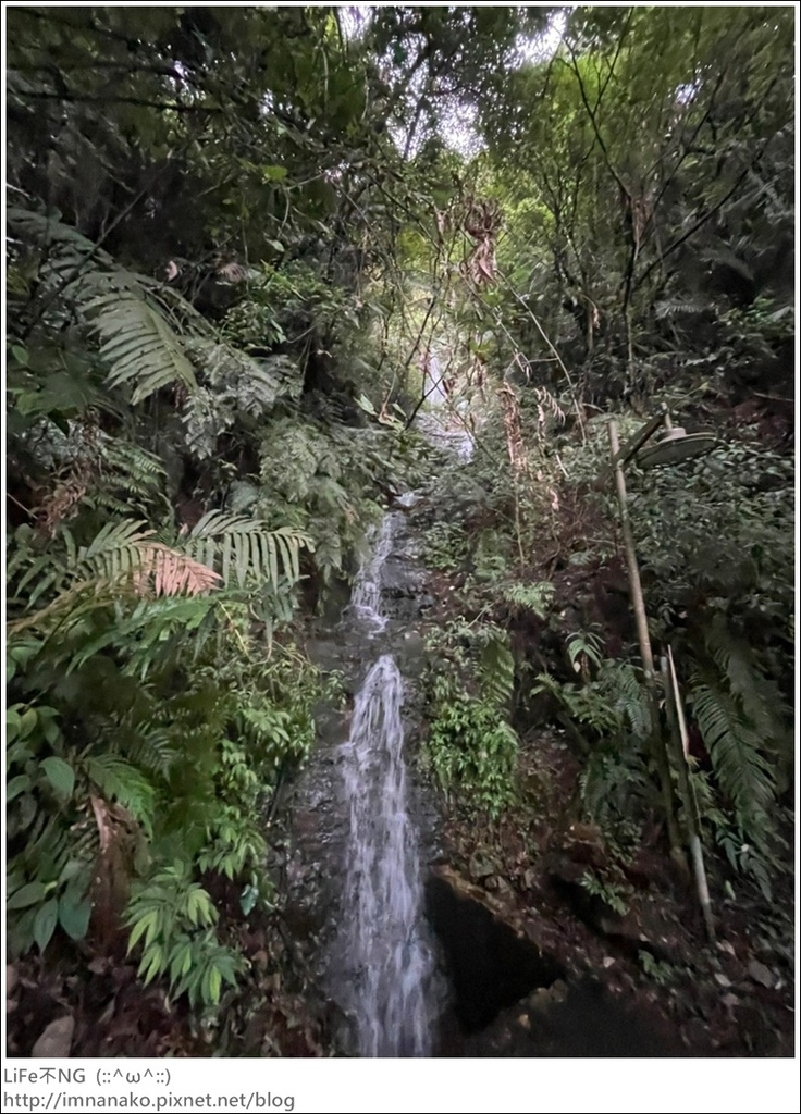 抹茶山_221107_109.jpg 抹茶山_221107_109.jpg