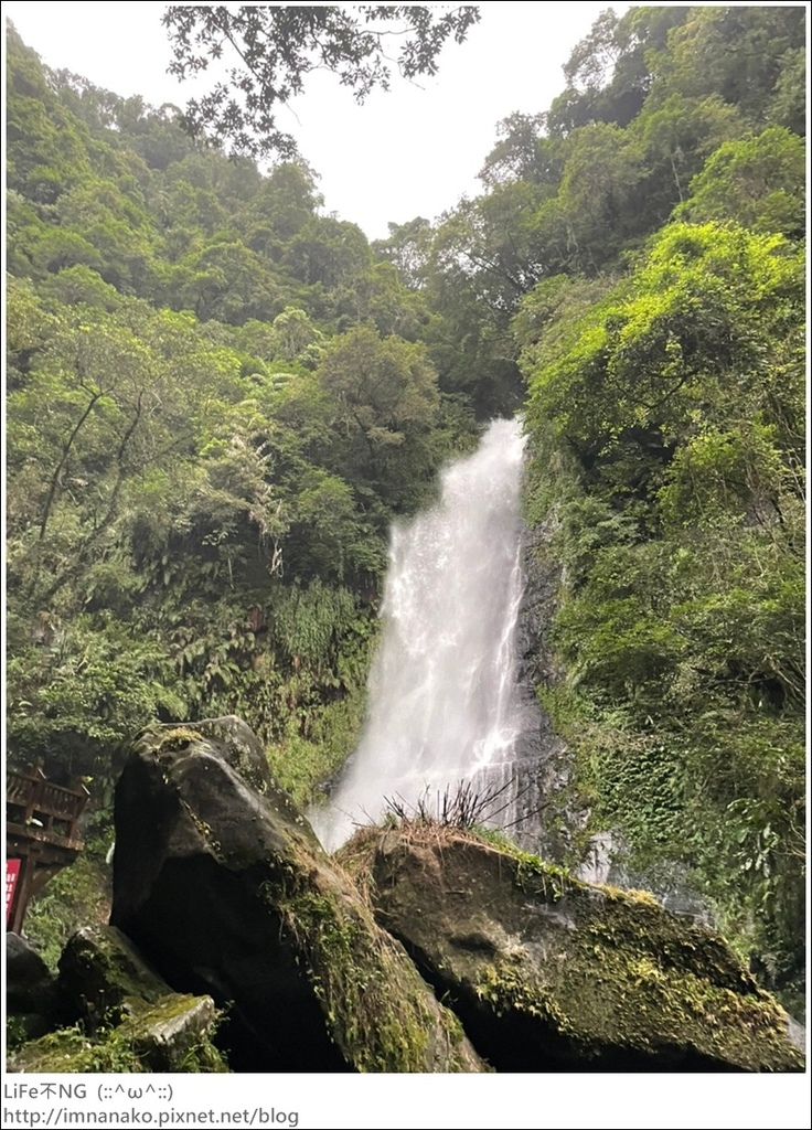 抹茶山_221107_118.jpg 抹茶山_221107_118.jpg