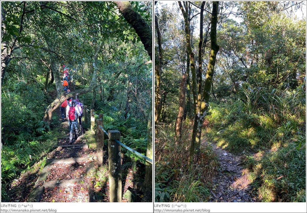 獅熊_221122_4-horz.jpg 獅熊_221122_4-horz.jpg