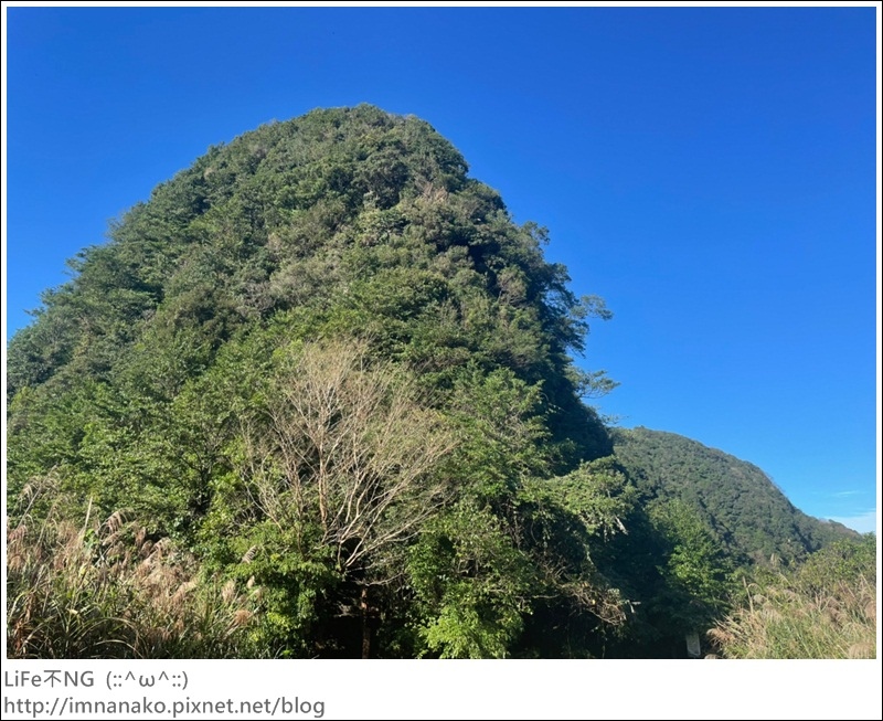 獅熊_221122_10.jpg 獅熊_221122_10.jpg