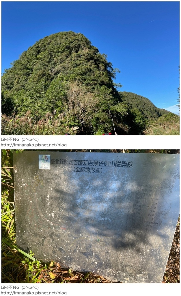 獅熊_221122_9-vert.jpg 獅熊_221122_9-vert.jpg