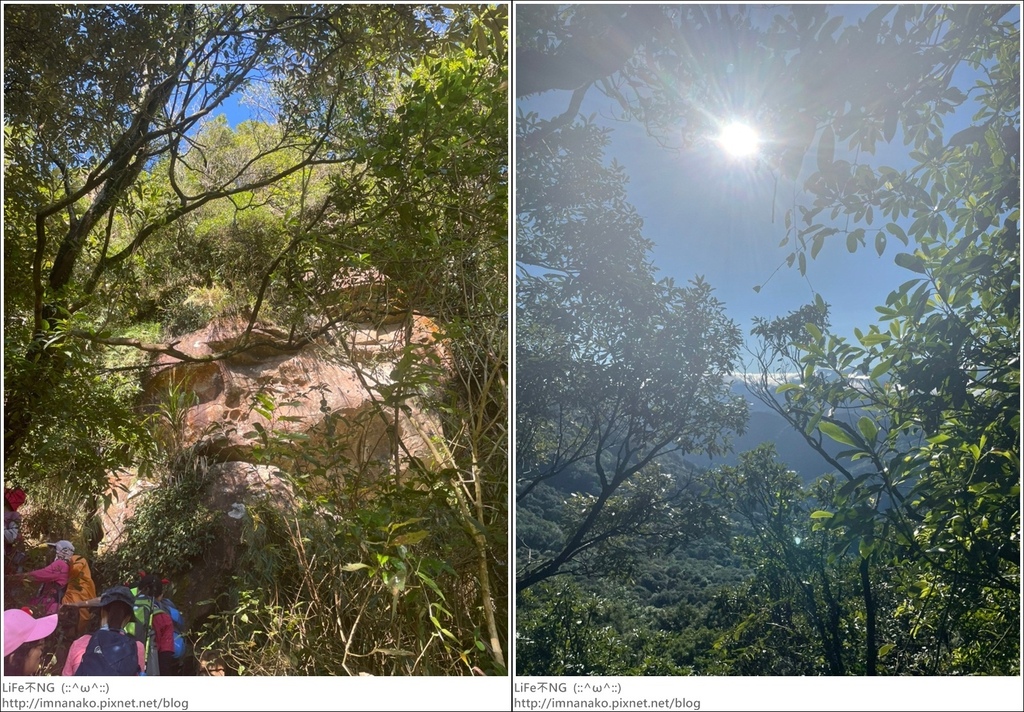 獅熊_221122_13-tile.jpg 獅熊_221122_13-tile.jpg