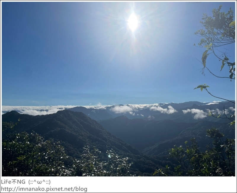 獅熊_221122_16.jpg 獅熊_221122_16.jpg