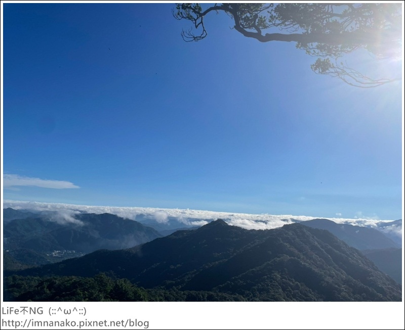 獅熊_221122_18.jpg 獅熊_221122_18.jpg