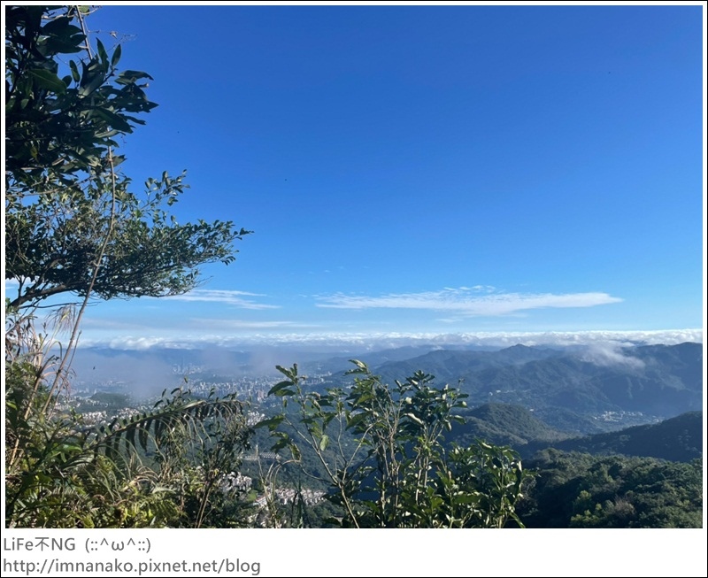 獅熊_221122_19.jpg 獅熊_221122_19.jpg