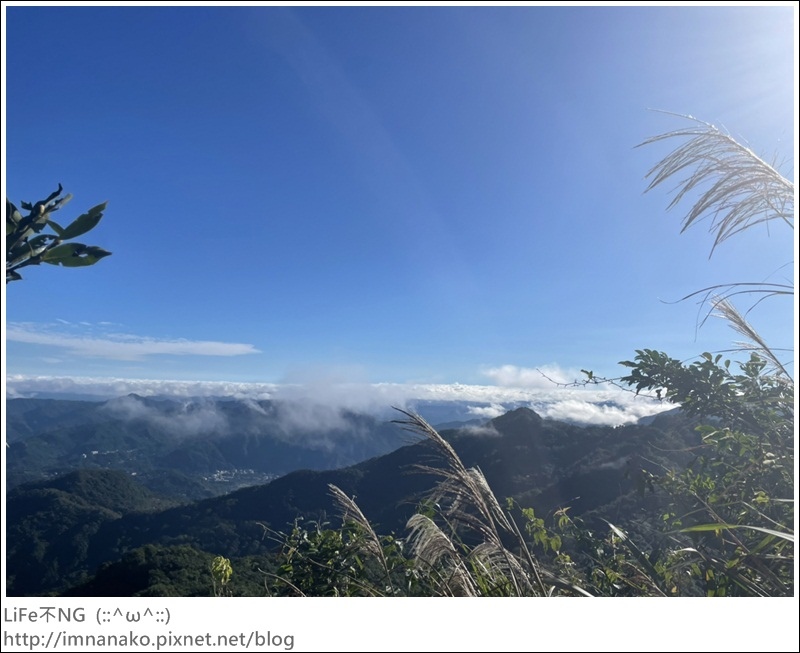 獅熊_221122_20.jpg 獅熊_221122_20.jpg