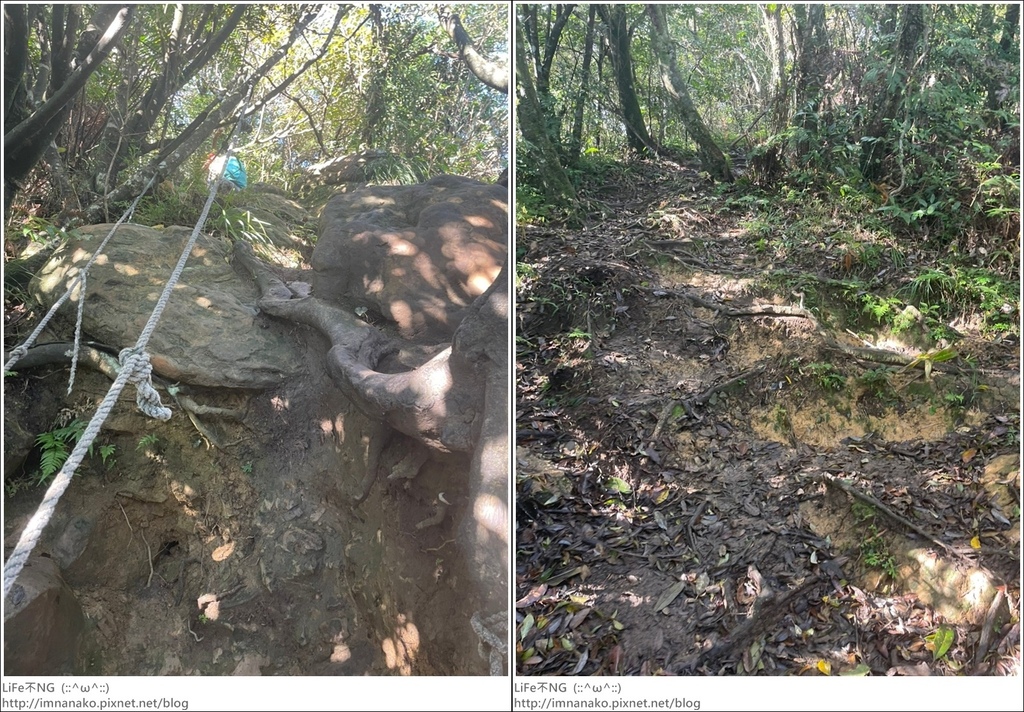 獅熊_221122_21-tile.jpg 獅熊_221122_21-tile.jpg