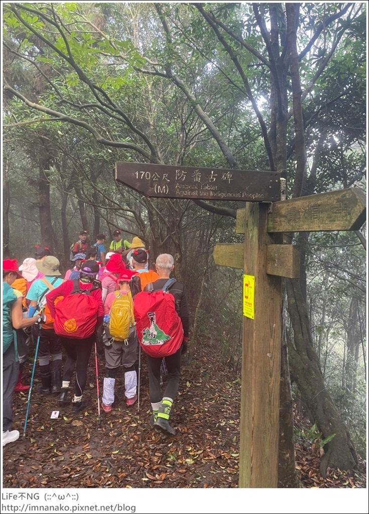 獅熊_221122_24.jpg 獅熊_221122_24.jpg