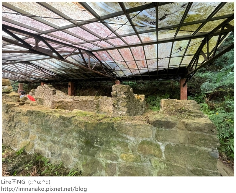 獅熊_221122_40.jpg 獅熊_221122_40.jpg