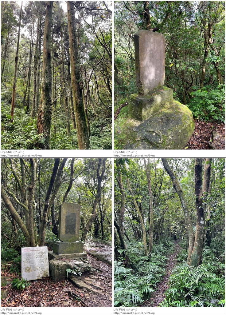 獅熊_221122_42-tile.jpg 獅熊_221122_42-tile.jpg