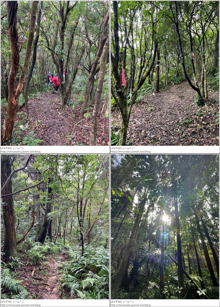 獅熊_221122_47-tile.jpg 獅熊_221122_47-tile.jpg