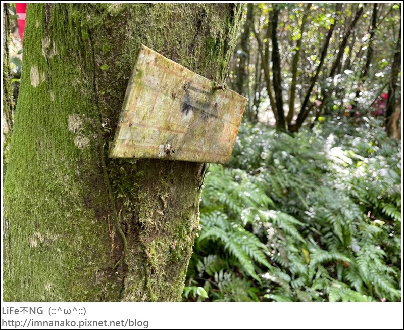 獅熊_221122_58.jpg 獅熊_221122_58.jpg