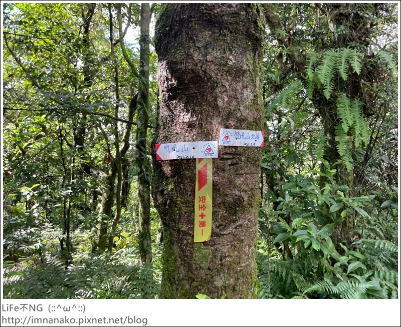 獅熊_221122_62.jpg 獅熊_221122_62.jpg