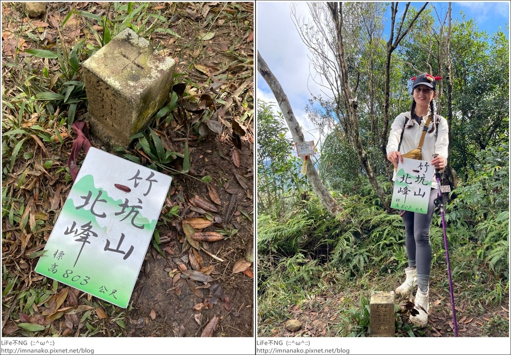 獅熊_221122_63-tile.jpg 獅熊_221122_63-tile.jpg