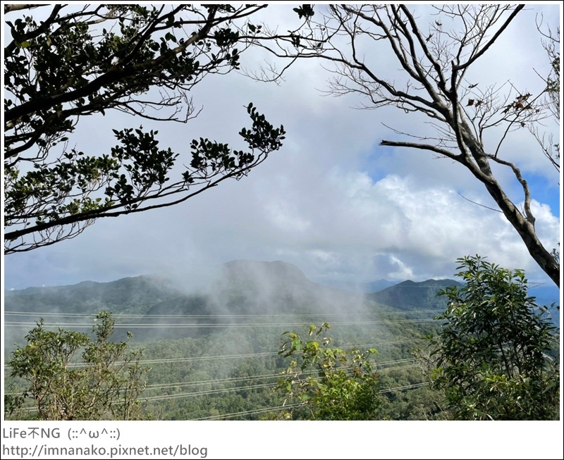 獅熊_221122_67.jpg 獅熊_221122_67.jpg