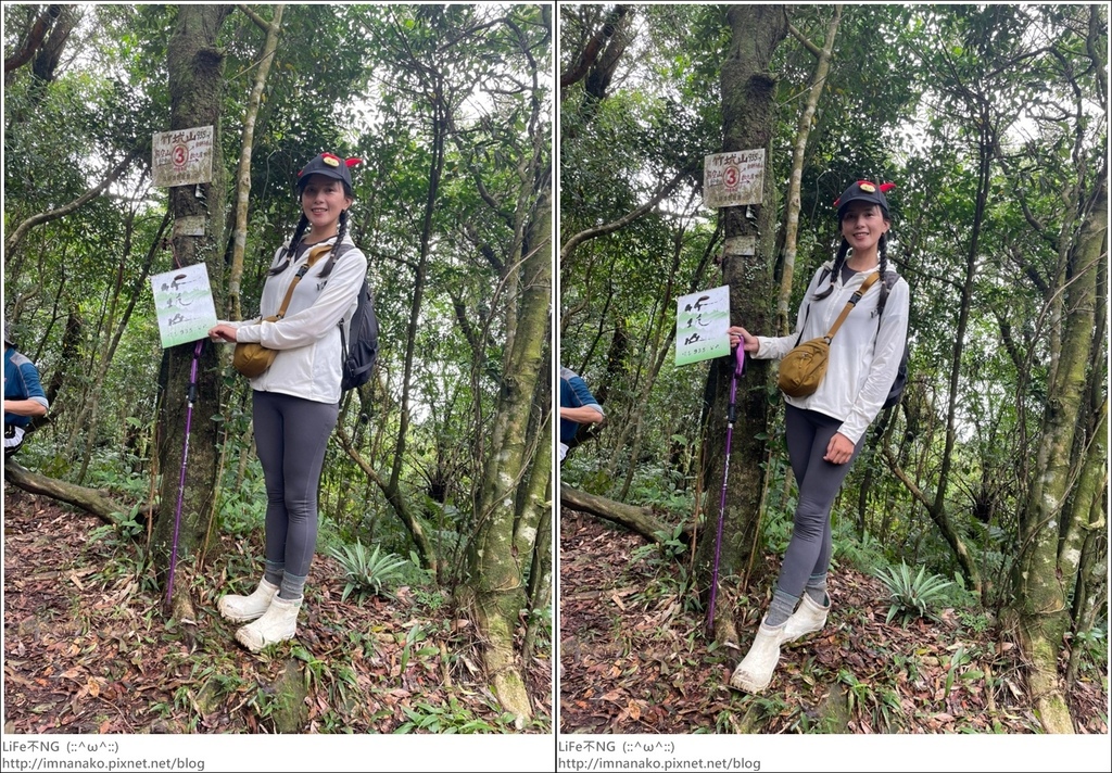 獅熊_221122_72-tile.jpg 獅熊_221122_72-tile.jpg