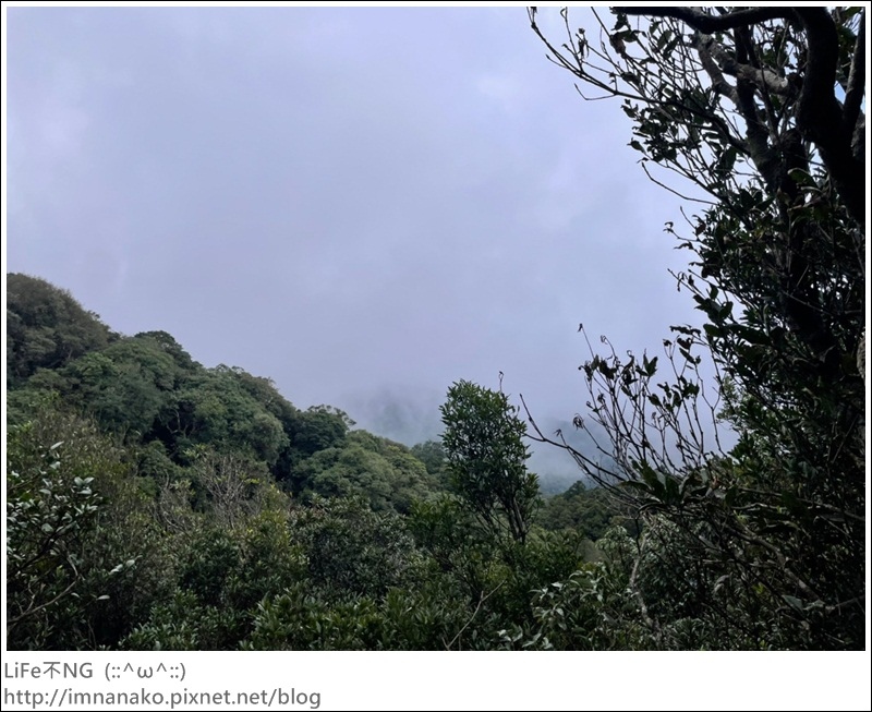 獅熊_221122_75.jpg 獅熊_221122_75.jpg