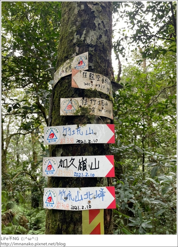 獅熊_221122_74.jpg 獅熊_221122_74.jpg