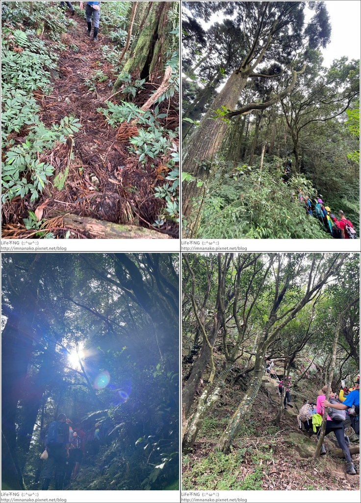 獅熊_221122_76-tile.jpg 獅熊_221122_76-tile.jpg