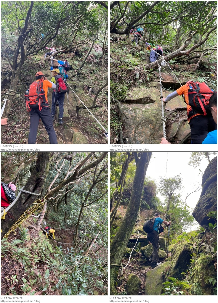 獅熊_221122_80-tile.jpg 獅熊_221122_80-tile.jpg