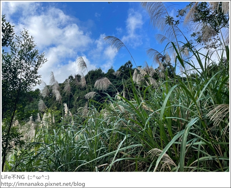 獅熊_221122_95.jpg 獅熊_221122_95.jpg