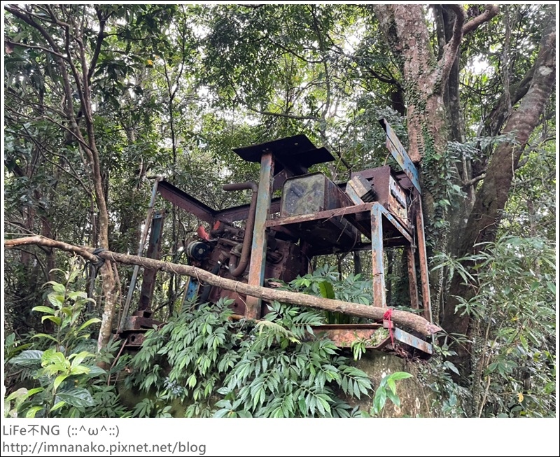 獅熊_221122_99.jpg 獅熊_221122_99.jpg