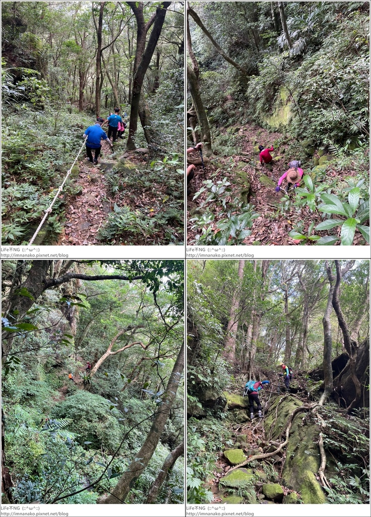 獅熊_221122_100-tile.jpg 獅熊_221122_100-tile.jpg