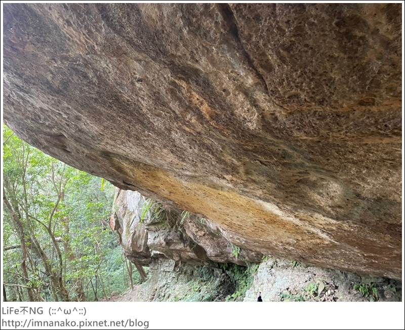 獅熊_221122_113.jpg 獅熊_221122_113.jpg