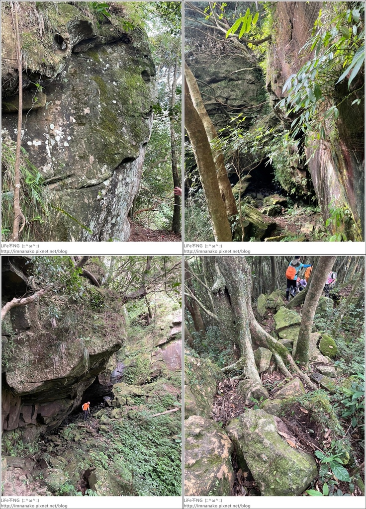 獅熊_221122_127-tile.jpg 獅熊_221122_127-tile.jpg