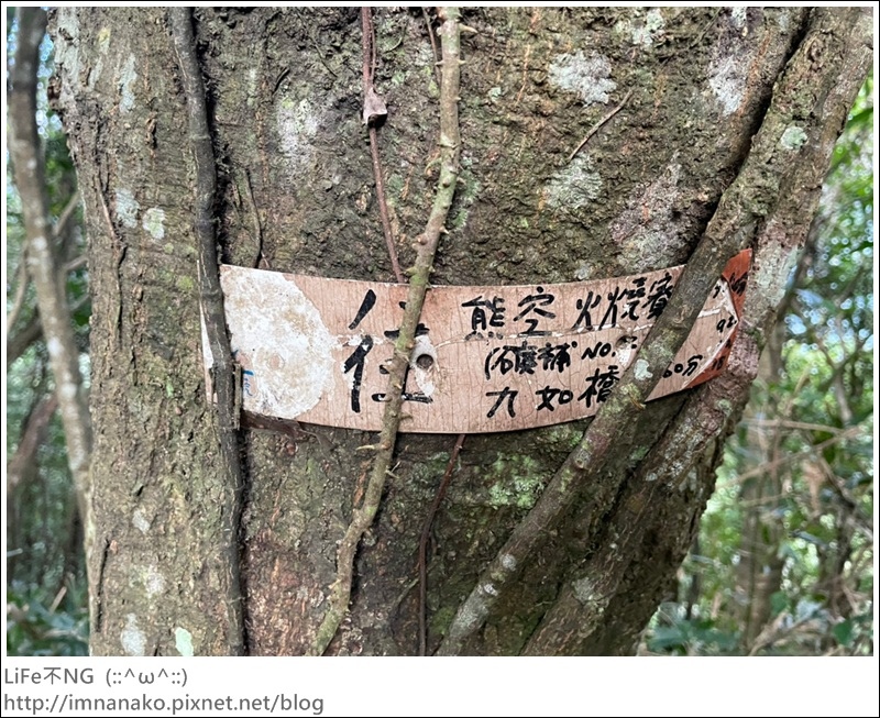 獅熊_221122_139.jpg 獅熊_221122_139.jpg