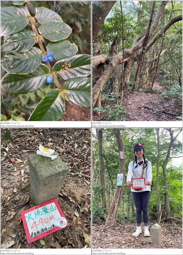 獅熊_221122_140-tile.jpg 獅熊_221122_140-tile.jpg