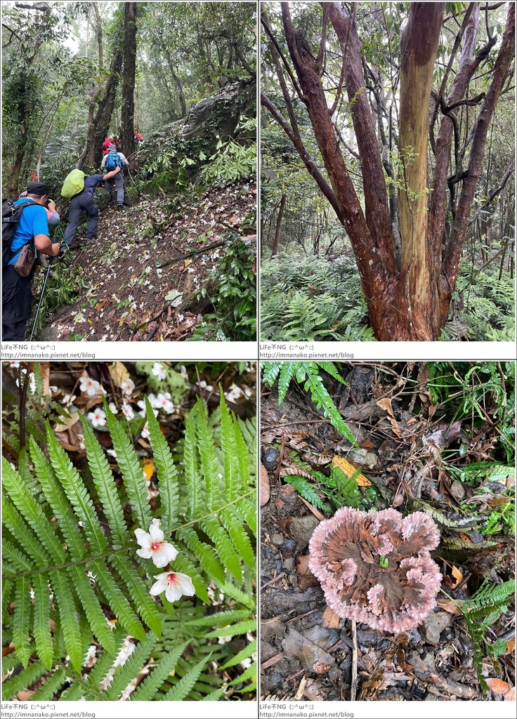 關刀山_230425_9-tile.jpg 關刀山_230425_9-tile.jpg