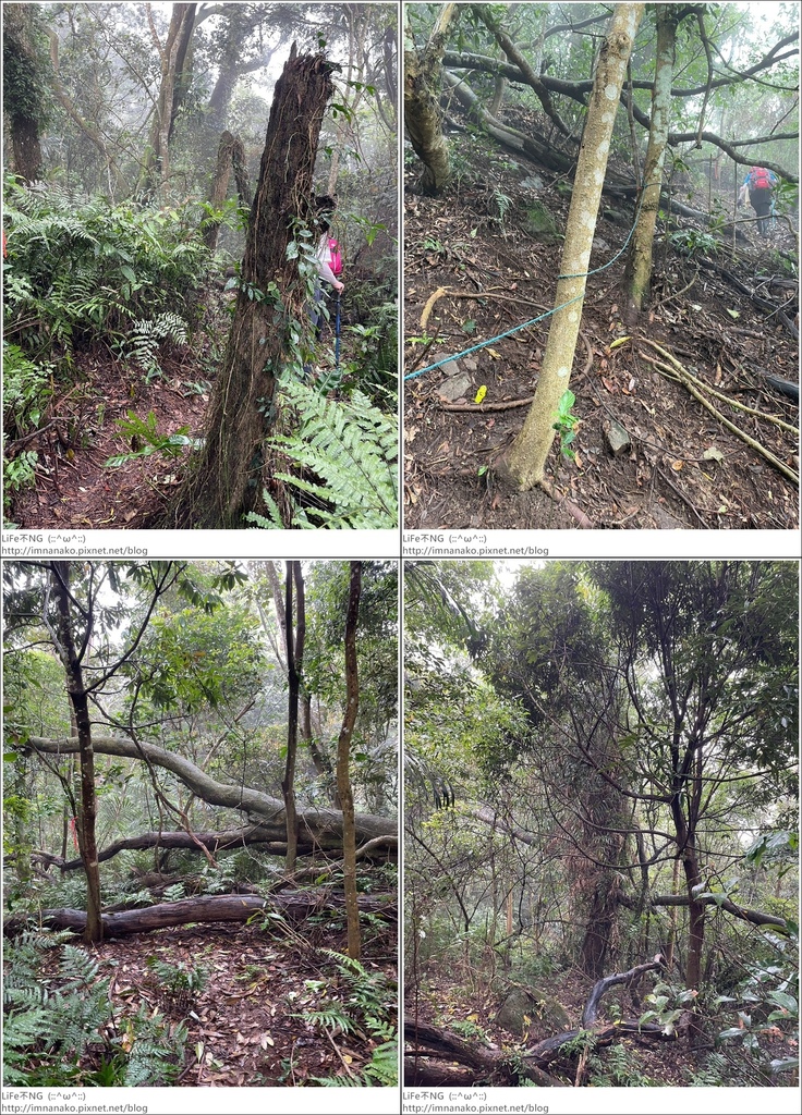 關刀山_230425_18-tile.jpg 關刀山_230425_18-tile.jpg