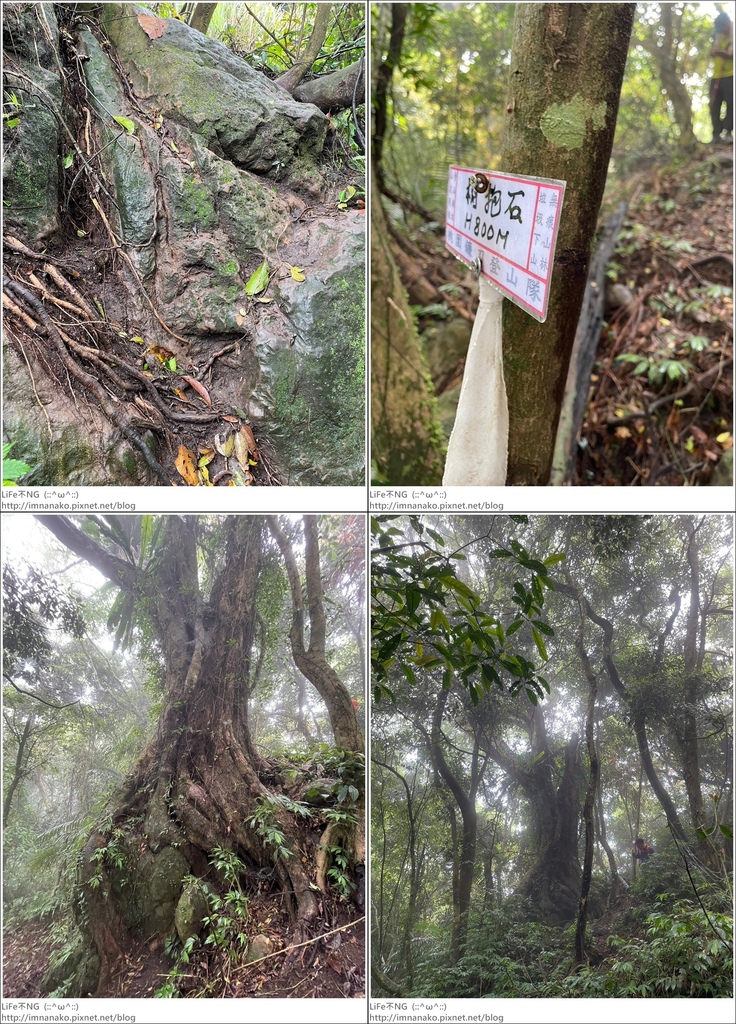 關刀山_230425_25-tile.jpg 關刀山_230425_25-tile.jpg