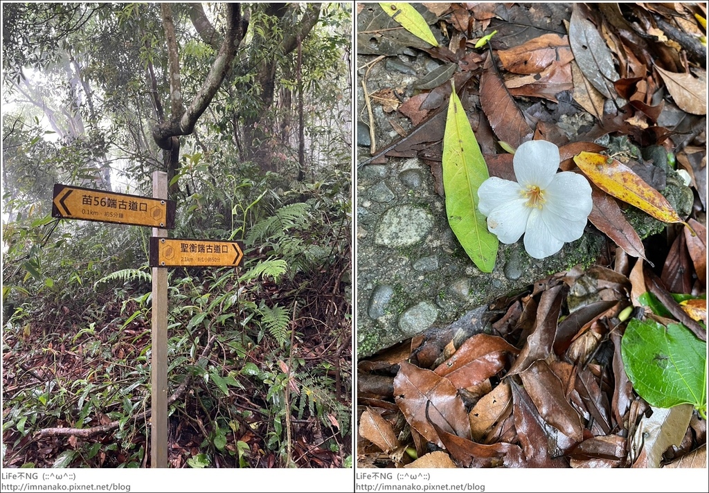 關刀山_230425_34-tile.jpg 關刀山_230425_34-tile.jpg