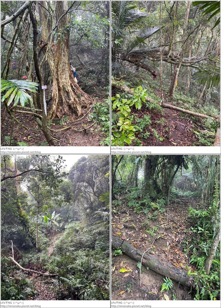 關刀山_230425_30-tile.jpg 關刀山_230425_30-tile.jpg