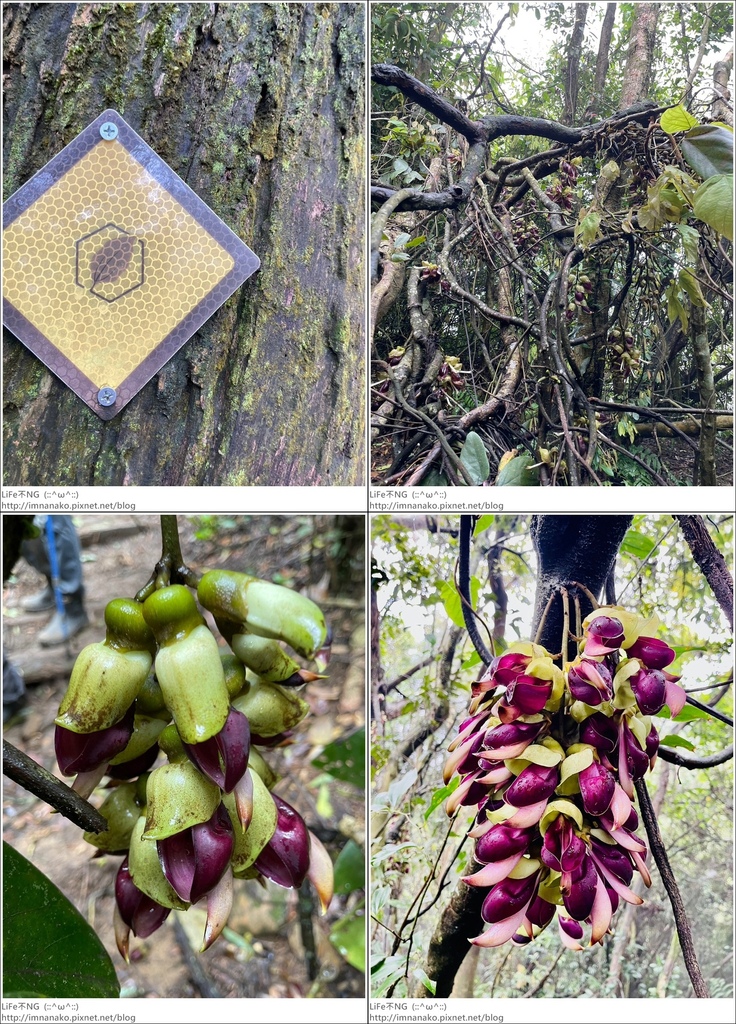 關刀山_230425_48-tile.jpg 關刀山_230425_48-tile.jpg