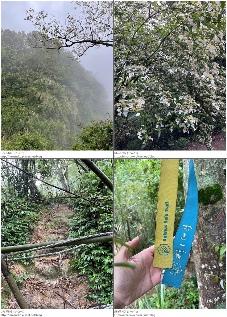 關刀山_230425_52-tile.jpg 關刀山_230425_52-tile.jpg